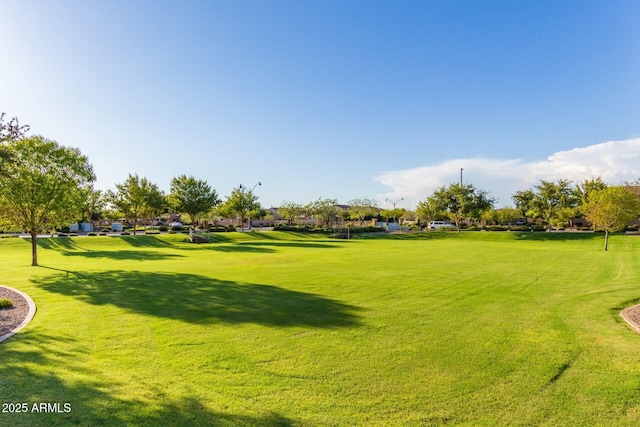 view of community featuring a yard