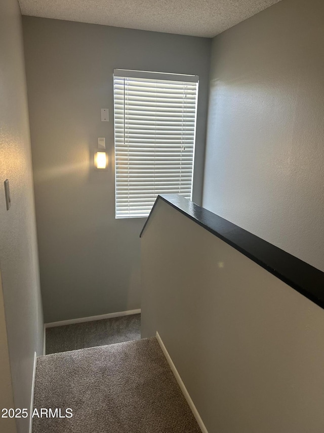 stairway featuring a textured ceiling and carpet