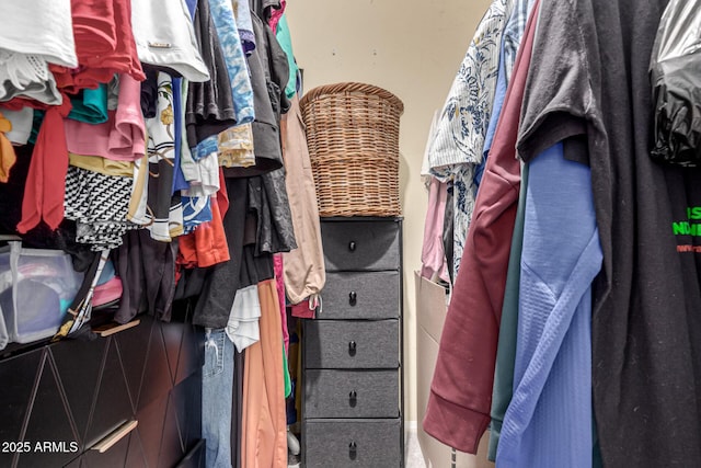 view of walk in closet