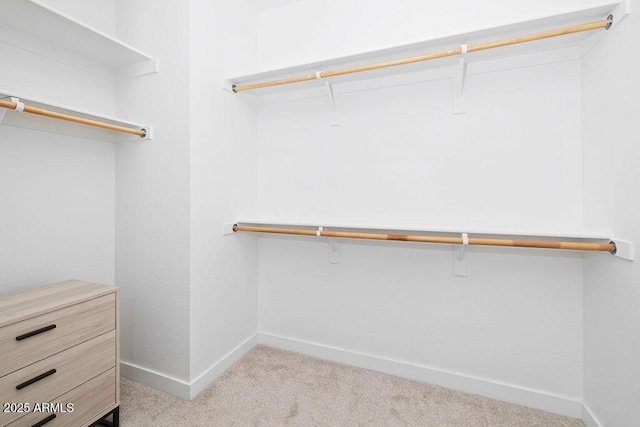 9230 E Scott Ave, Mesa, AZ 85212 - spacious closet with carpet floors