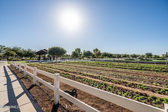 9230 E Scott Ave, Mesa, AZ 85212 - view of yard featuring agricultural plots, fence, and a view of rural / pastoral area