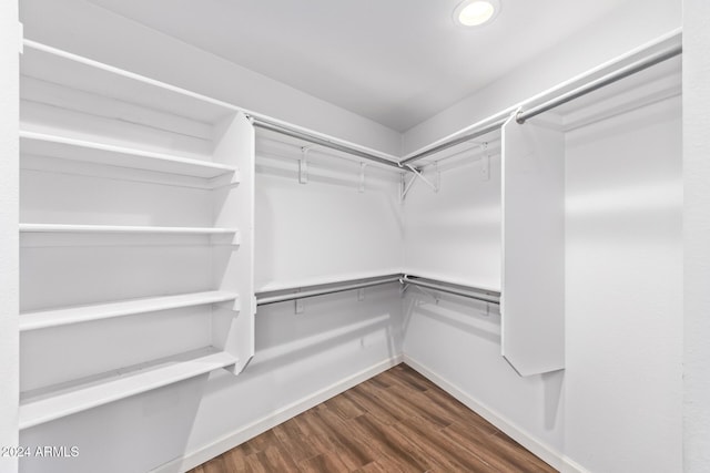 spacious closet featuring dark hardwood / wood-style flooring