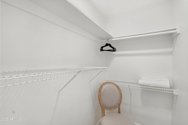 view of walk in closet