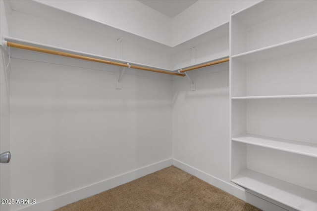 945 E Playa Del Norte Dr Unit 1016, Tempe, AZ 85288 - spacious closet with carpet flooring
