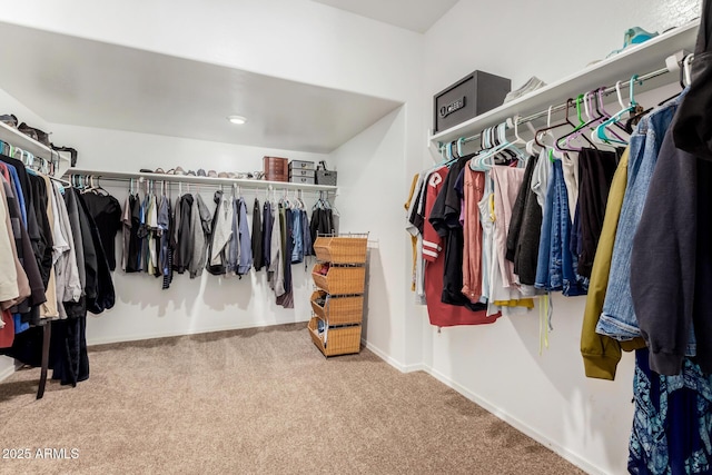 spacious closet featuring carpet