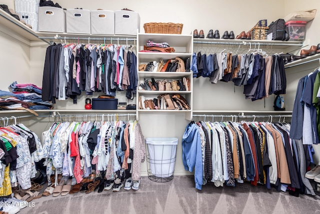 spacious closet with carpet