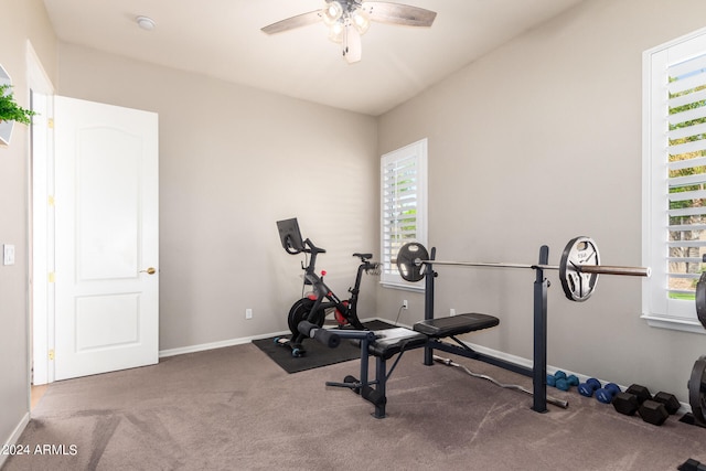 workout room with carpet floors and ceiling fan