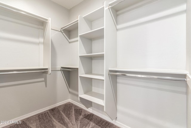 walk in closet featuring carpet