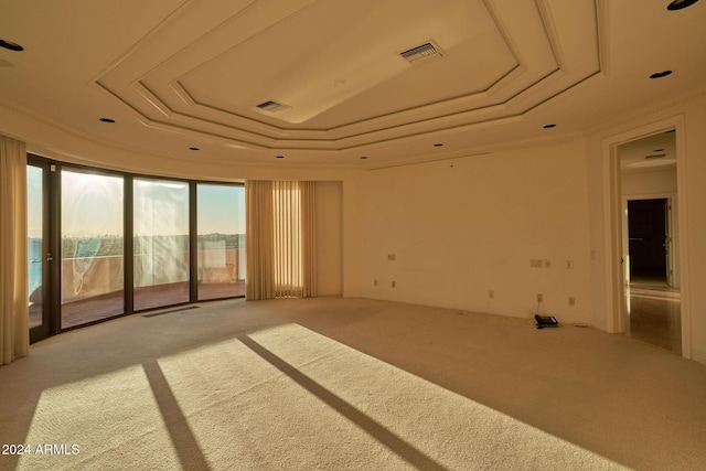 unfurnished room with light colored carpet and a tray ceiling