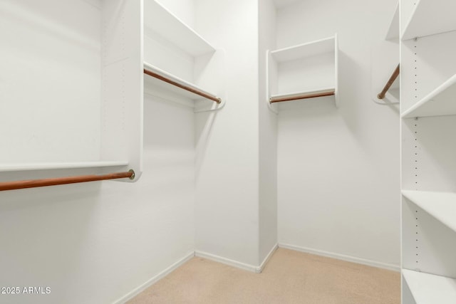 12726 W Charter Oak Rd, El Mirage, AZ 85335 - spacious closet with carpet floors