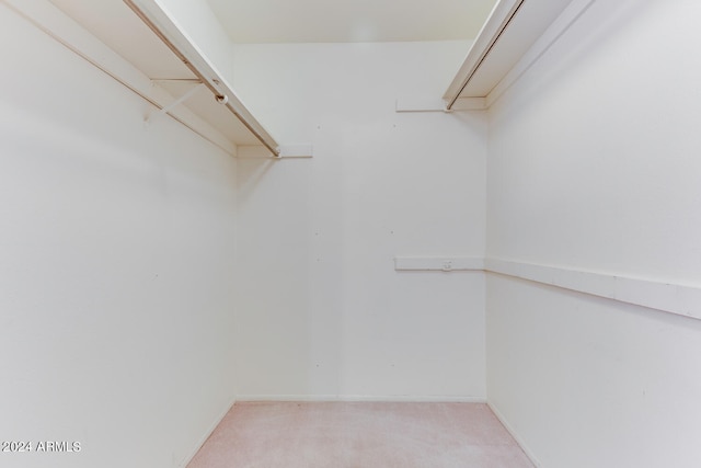 spacious closet with light colored carpet