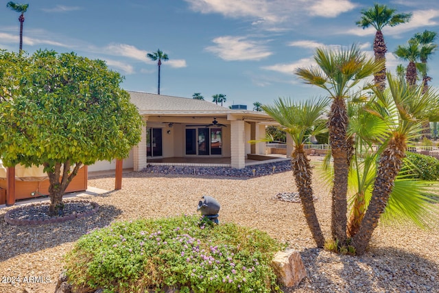 rear view of property featuring a patio area and ceiling fan