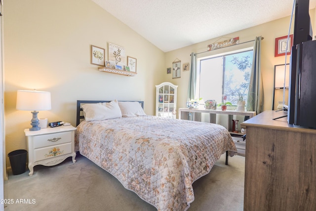 carpeted bedroom with lofted ceiling, radiator, and a textured ceiling