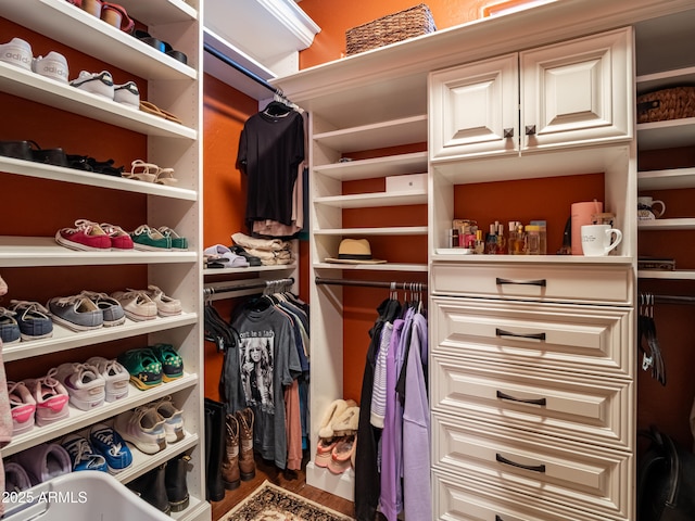 view of spacious closet