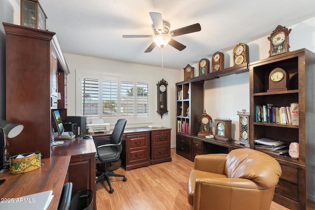 office featuring ceiling fan and light hardwood / wood-style floors