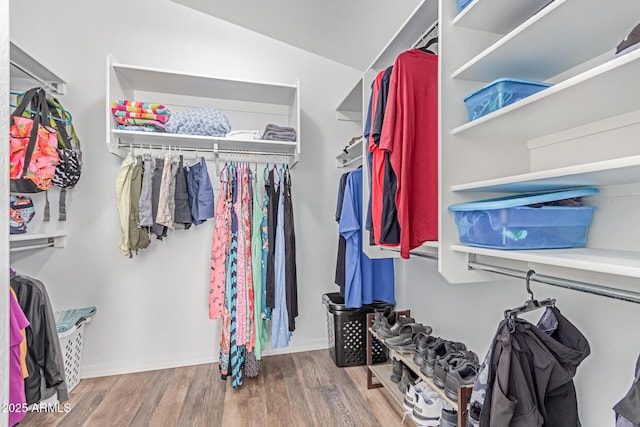 44853 W Jack Rabbit Trl, Maricopa, AZ 85139 - walk in closet with wood finished floors