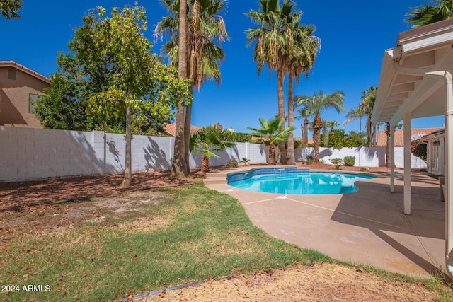 view of pool with a patio area