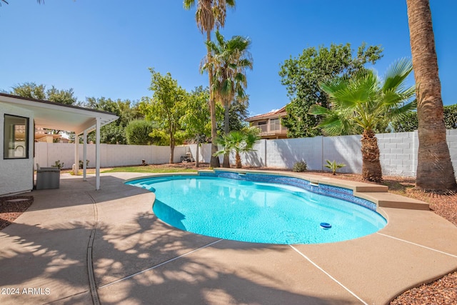 view of swimming pool with a patio