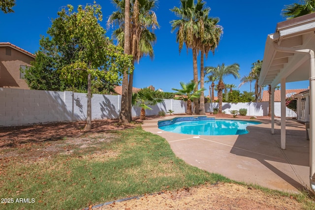 view of swimming pool with a patio area