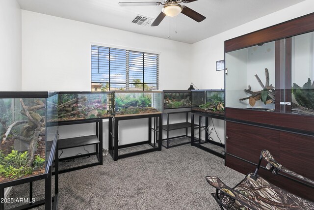 11959 W Vernon Ave, Avondale, AZ 85392 - carpeted bedroom featuring visible vents