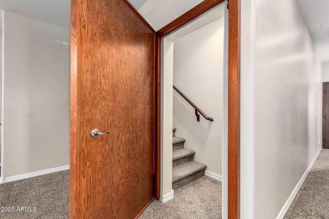 stairway featuring carpet flooring