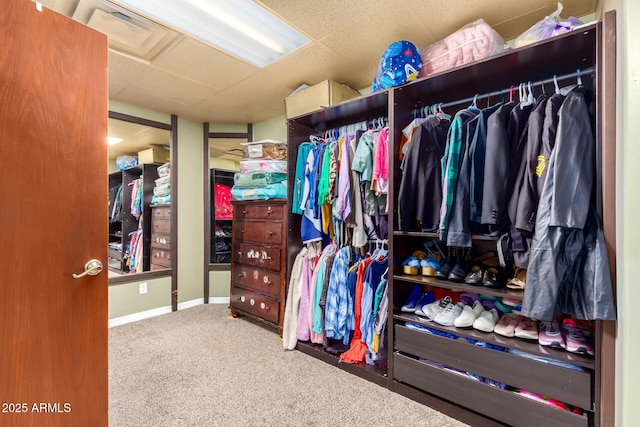 walk in closet featuring carpet flooring