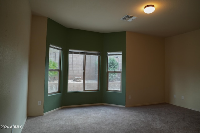 unfurnished room featuring carpet floors and a healthy amount of sunlight