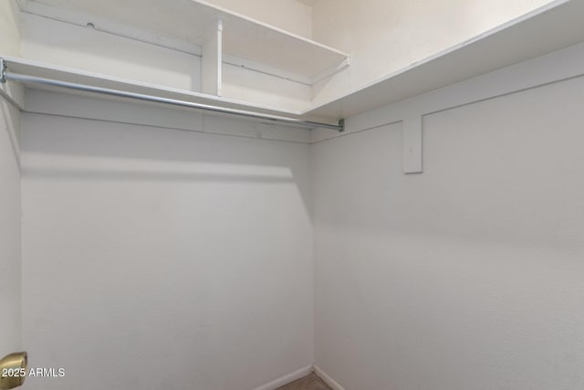 view of walk in closet