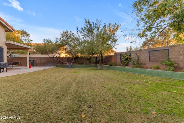 view of yard with a patio area