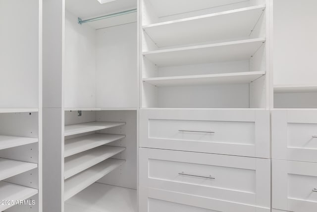 view of walk in closet