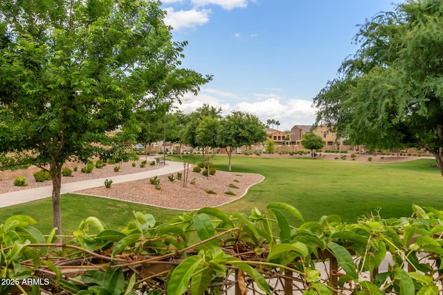 view of property's community with a yard