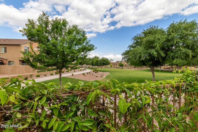 view of property's community