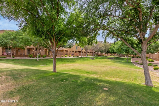 view of green lawn