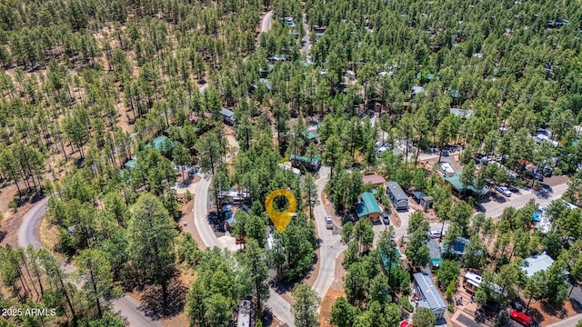 3810 S Mule Skinner Loop Unit 86, Show Low, AZ 85901