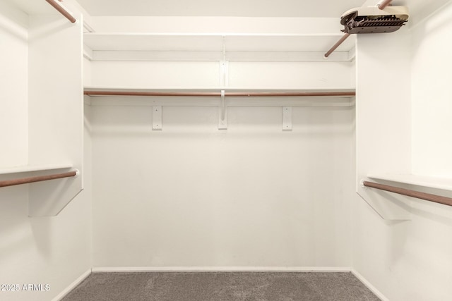 20435 N 39th Dr, Glendale, AZ 85308 - walk in closet with carpet