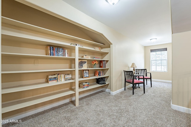 sitting room with carpet floors