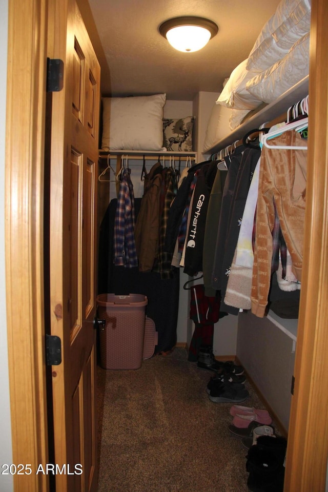 spacious closet featuring carpet flooring