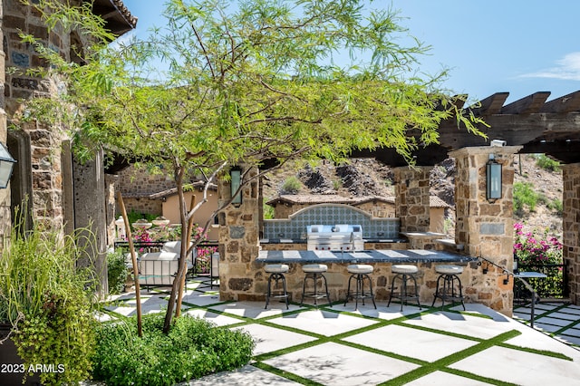 view of patio featuring grilling area, an outdoor kitchen, and a bar