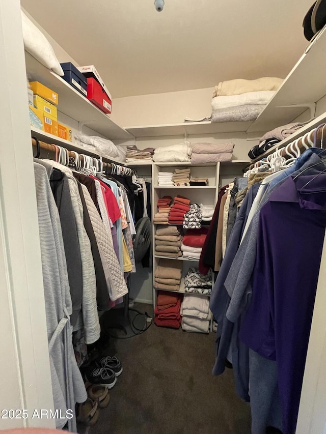 walk in closet with carpet