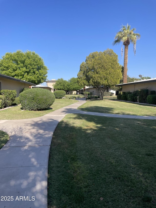 view of home's community with a yard