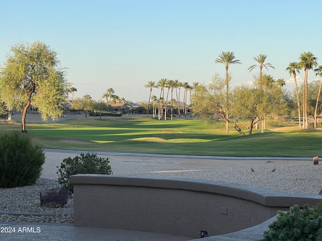 view of property's community with a yard