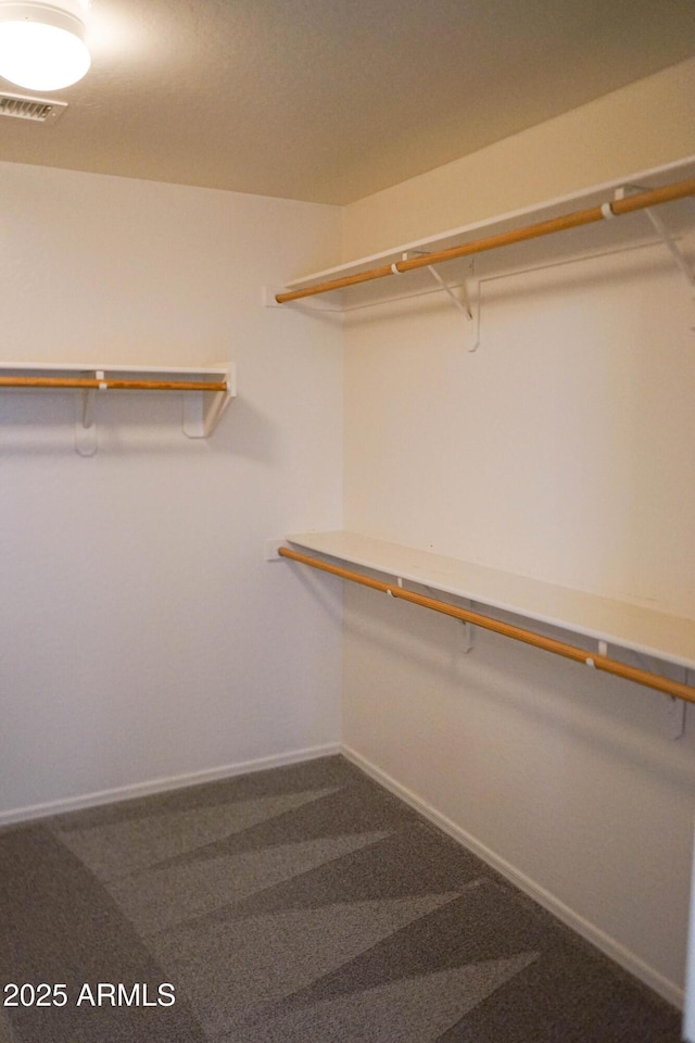 spacious closet featuring carpet flooring