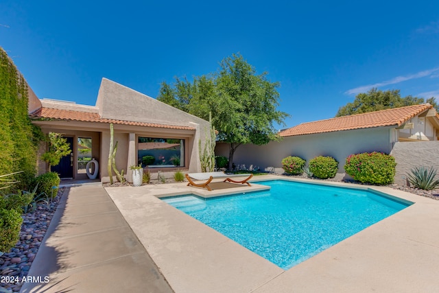 view of pool featuring a patio