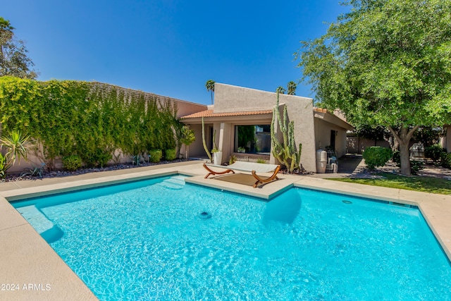 view of swimming pool featuring a patio area