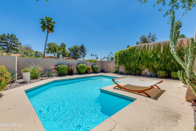 view of swimming pool with a patio