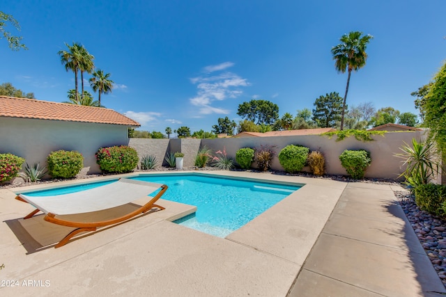 view of swimming pool with a patio