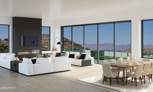 living room featuring a mountain view and light hardwood / wood-style flooring