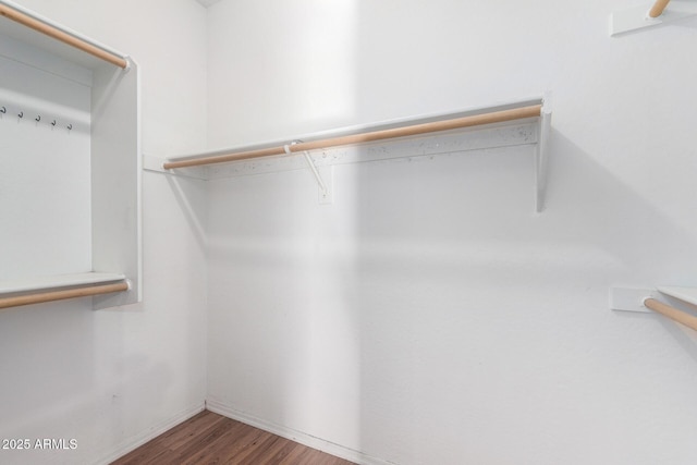 spacious closet with wood-type flooring