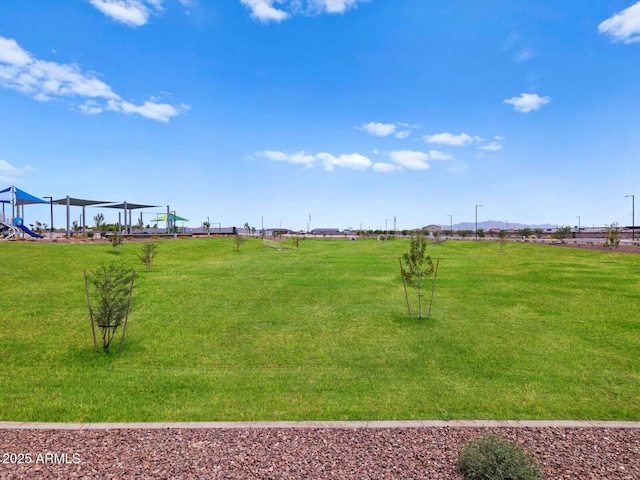 5537 S 246th Ave, Buckeye, AZ 85326 - view of grassy yard