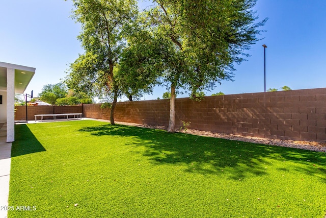 3444 E Flamingo Ct, Gilbert, AZ 85297 - view of fenced backyard